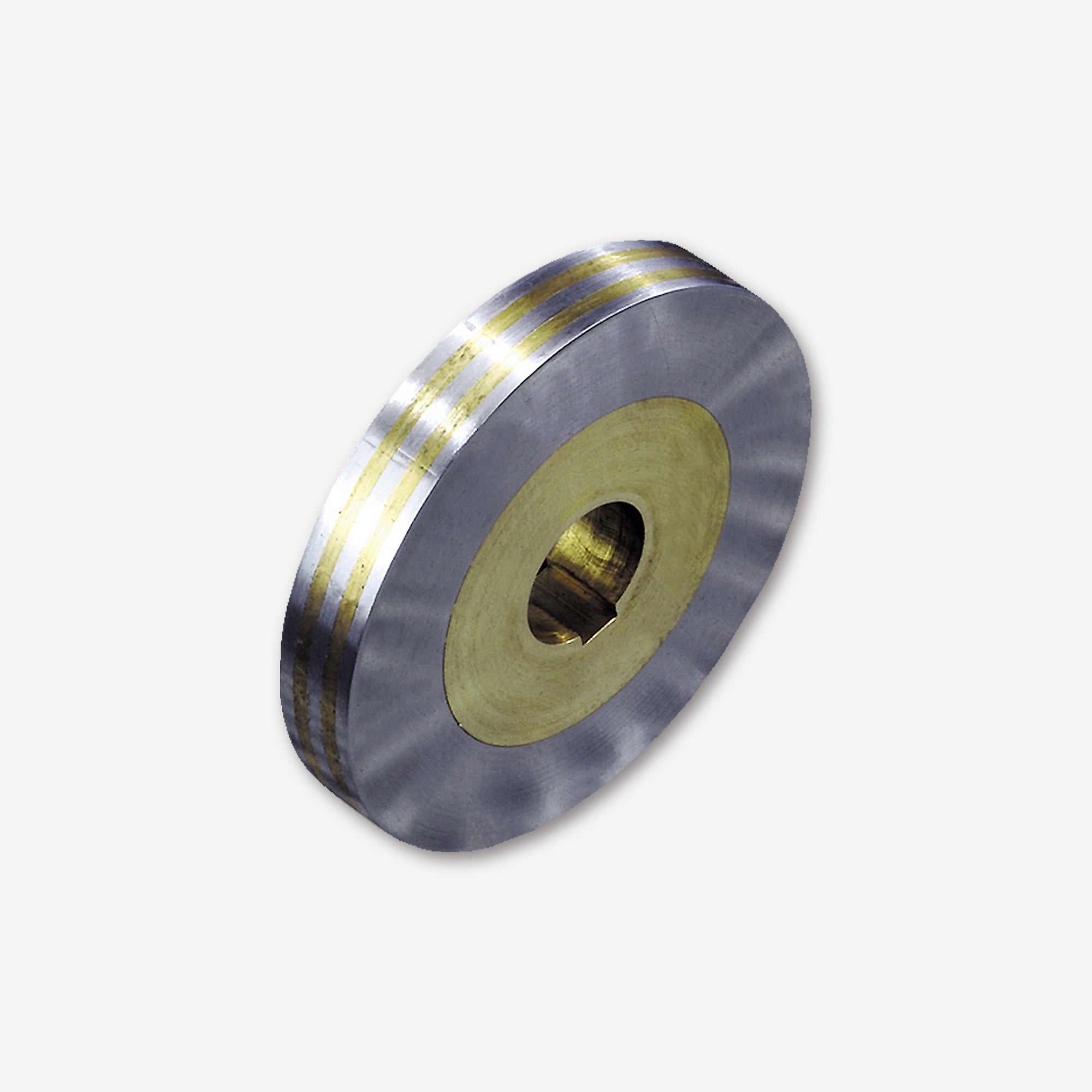 Magnetisches Haftrad mit Feinpolteilung Ø50mm