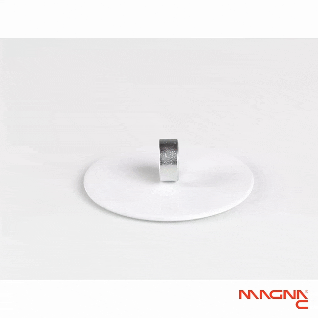 Neodym Flachgreifer Ø10x4,5mm mit konischer Senkung Produktdarstellung